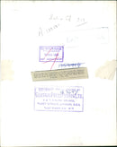 Animal: Caracals, Princess. - Vintage Photograph