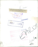 Animal: Caracals, Gigi. - Vintage Photograph