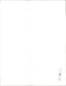 Animal Camel: - Vintage Photograph