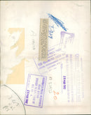 Animal Camel: - Vintage Photograph