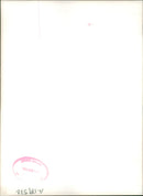 Animal Camel: - Vintage Photograph