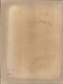 Animal Camel: - Vintage Photograph