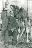 Animal Camel:Mr Alex long. - Vintage Photograph