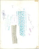 Animal Camel: - Vintage Photograph