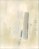 Animal Camel: - Vintage Photograph