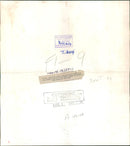 Animal Camel: - Vintage Photograph