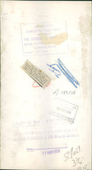 Animal Camel: - Vintage Photograph