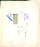 Animal Camel: - Vintage Photograph