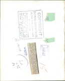 Animal Camel: - Vintage Photograph