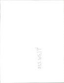 Animal Camel:Three camels sprints. - Vintage Photograph