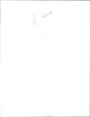 Animal Camel: - Vintage Photograph