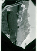 With Mount Everest as a backdrop, the hard-rocked rock wall rises, as the British Sola Khumbu expedition has to climb to reach the top of Ama Dablam - Vintage Photograph