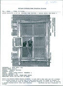 Russia Tomsk:A cat an a dog look out of a window. - Vintage Photograph