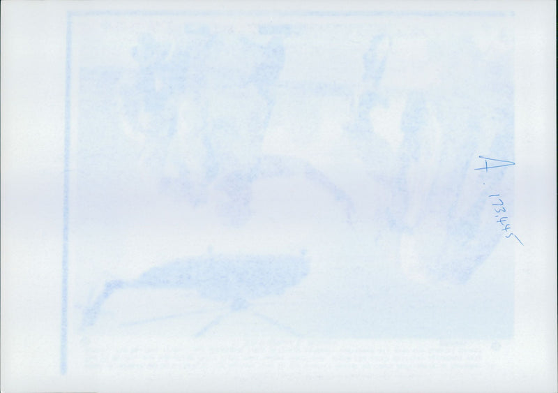 US Maneuvers in Kuwait: Landing craft from the USS Saipan. - Vintage Photograph