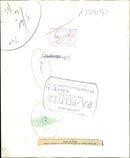 Pedal Powered Aircraft:Mr Manuel - Vintage Photograph