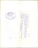 Wild boar - Vintage Photograph