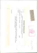 Wild boar - Vintage Photograph