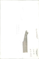 Royal Marines: - Vintage Photograph