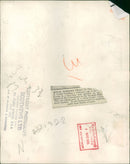 Royal Marines:Training. - Vintage Photograph