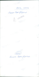 Lady Platt: - Vintage Photograph