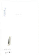 shar pei dog - Vintage Photograph