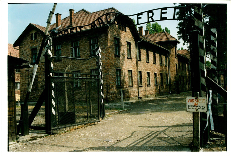 Auschwitz Poland: - Vintage Photograph