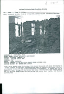 Auschwitz Poland:photo taken in october 1994 - Vintage Photograph