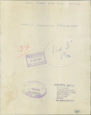 Elizabeth Chadwick. - Vintage Photograph