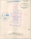 Pirmin Zurbriggen. - Vintage Photograph