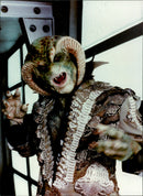 Gerry Anderson: The Snake - Vintage Photograph