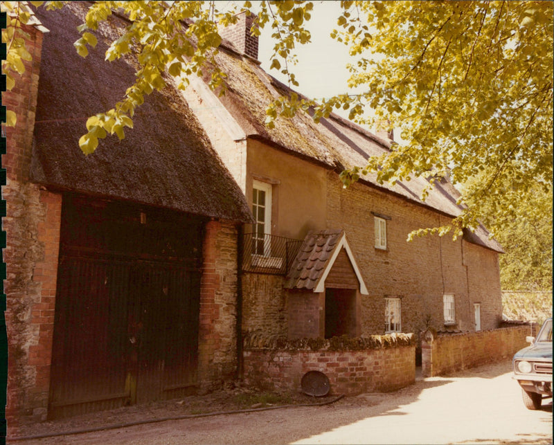 Inuengarny Cannabis Cases: - Vintage Photograph