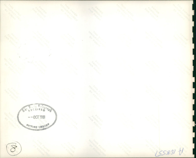 Inuengarny Cannabis Cases: - Vintage Photograph