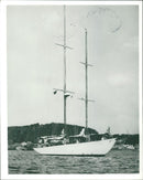 Inuengarny Cannabis Cases: - Vintage Photograph