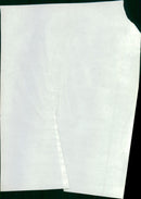 Inuengarny Cannabis Cases: - Vintage Photograph