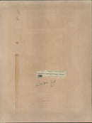 Inuengarny Cannabis Cases: - Vintage Photograph