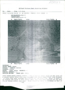 Animal Brown Bear:Two ex dancing bears enjoy at the wild life rescue center. - Vintage Photograph