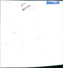 Animal Brown Bear: - Vintage Photograph