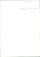 Animal Brown Bear: - Vintage Photograph