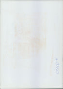 Animal Brown Bear:A giant lodiak bear shakes off the water. - Vintage Photograph