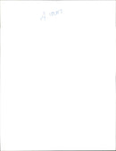 Animal Brown Bear:A kodiak bear at the pittsburgh Zoo. - Vintage Photograph