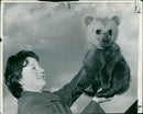 Animal Brown Bear:A three month old bear cub. - Vintage Photograph