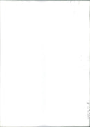 Animal Brown Bear:Svetlana the daughter of bear owner. - Vintage Photograph