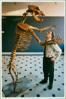 Animal Brown Bear:Philip Keith with 80,000 year old cave brown bear skeleton. - Vintage Photograph