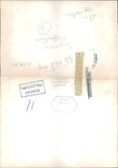 Animal Brown Bear:Brown bear cubs. - Vintage Photograph