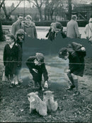 Animal Brown Bear: - Vintage Photograph