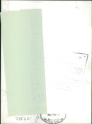 Animal Bush Baby - Vintage Photograph