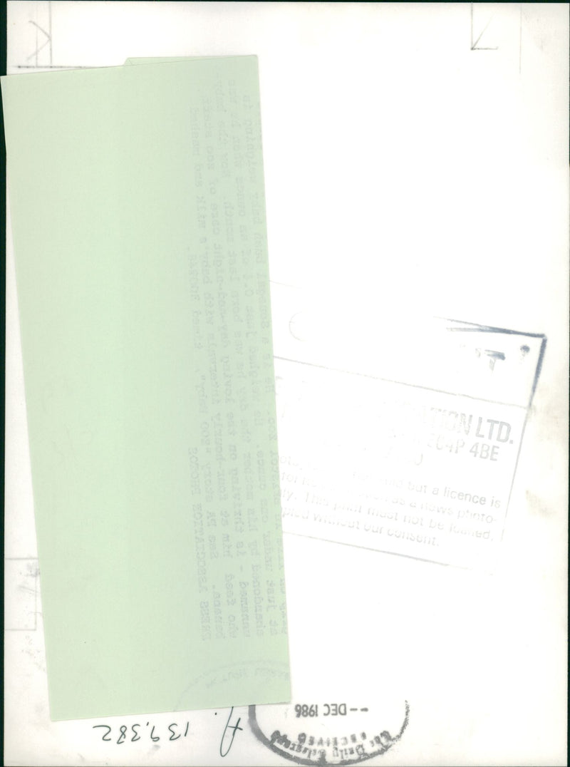 Animal Bush Baby - Vintage Photograph