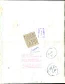 Josh, an Angwantibo bush baby - Vintage Photograph