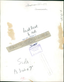 Animal Polar Bear: - Vintage Photograph