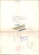 Animal Polar Bear: - Vintage Photograph